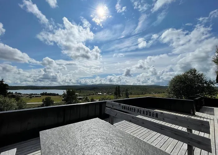 Snikkerplassen - With Amazing View And Hiking Opportunities *